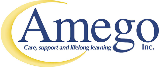 Amego INC logo
