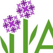 Allium Behavioral Services, LLC logo